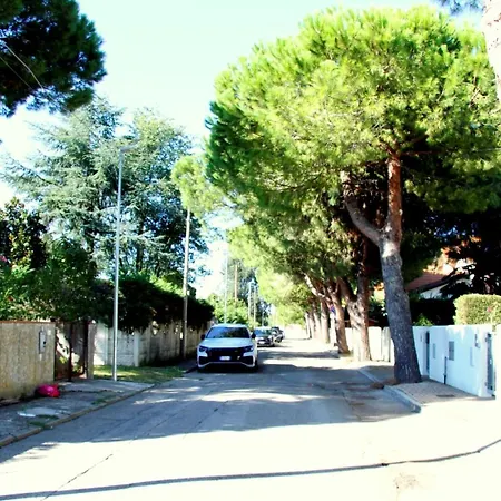 Sole * Lido di Scacchi